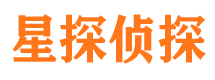 桃源市侦探公司